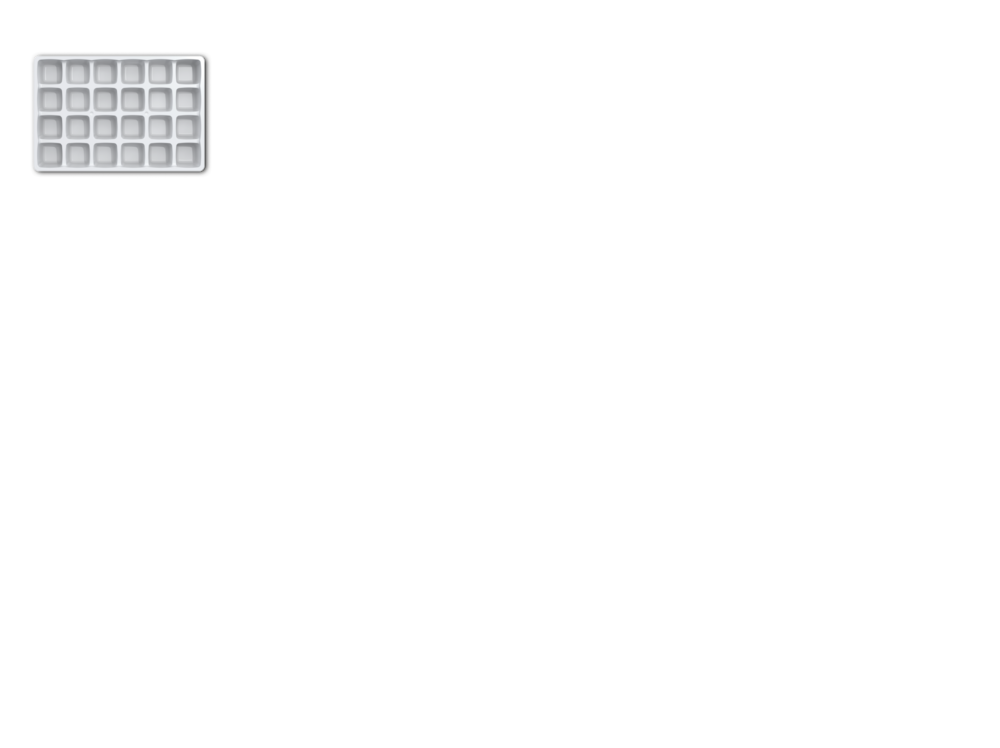 20000212506